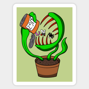 Venus Flytrap Feeding Its Hungry Mouth Magnet